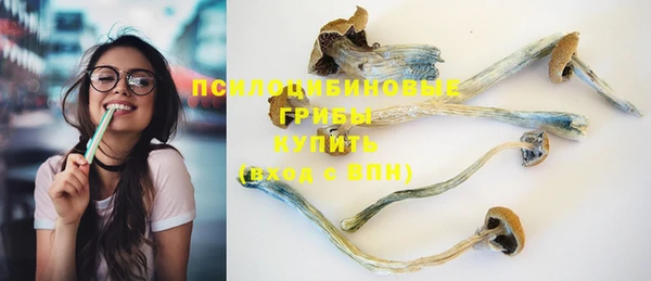 кокс Вяземский