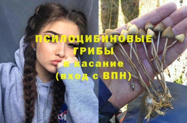 кокс Вяземский