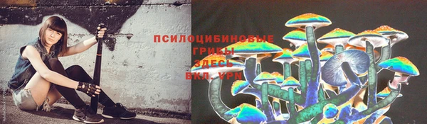 кокс Вяземский